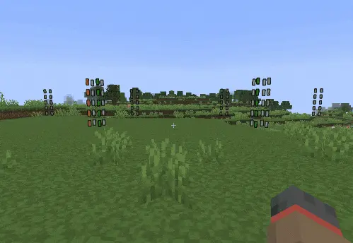 Chunk Bounds toggled on